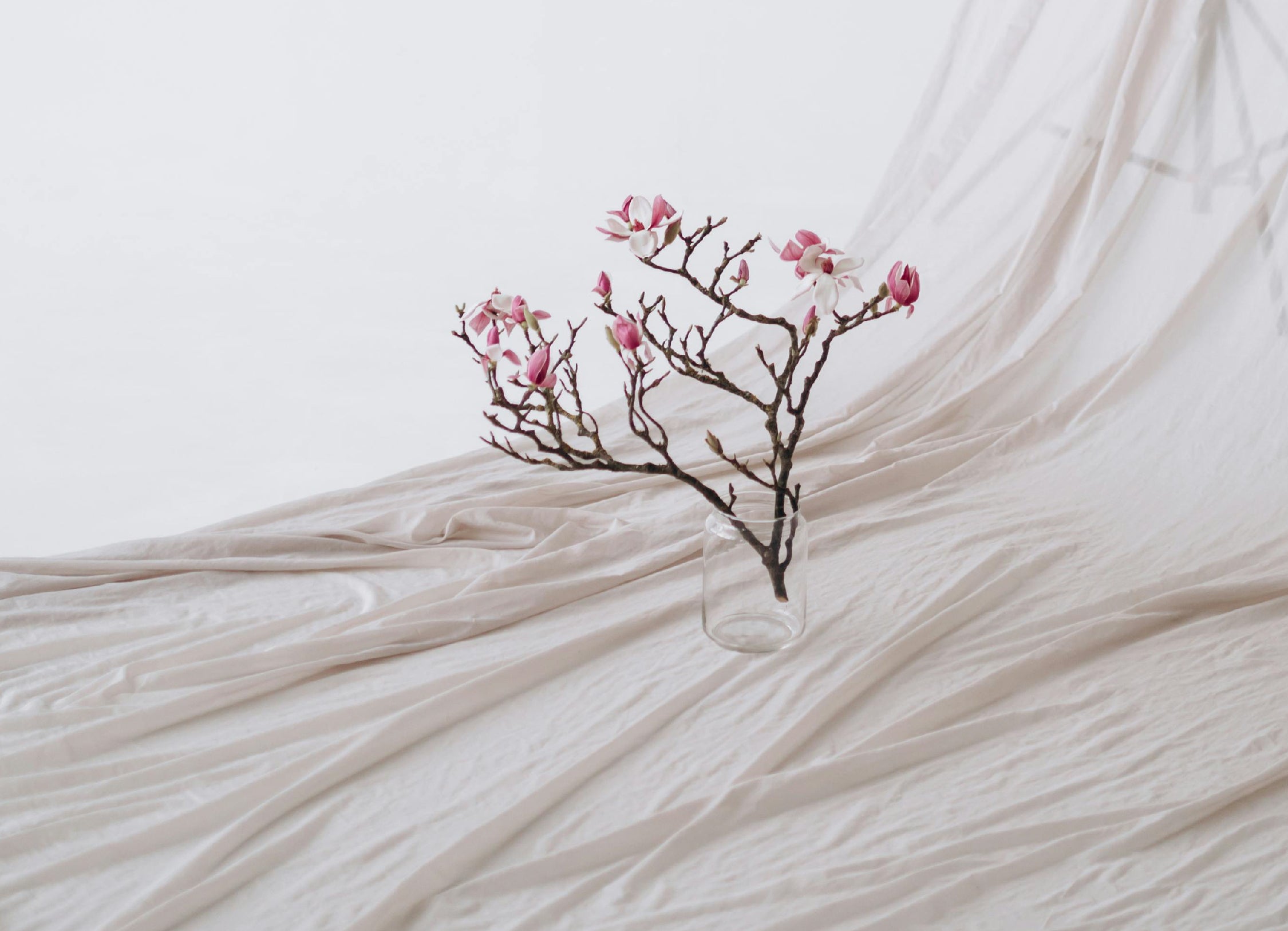 Modal Kumaş Nedir? Avantajları ve Kullanım Alanları