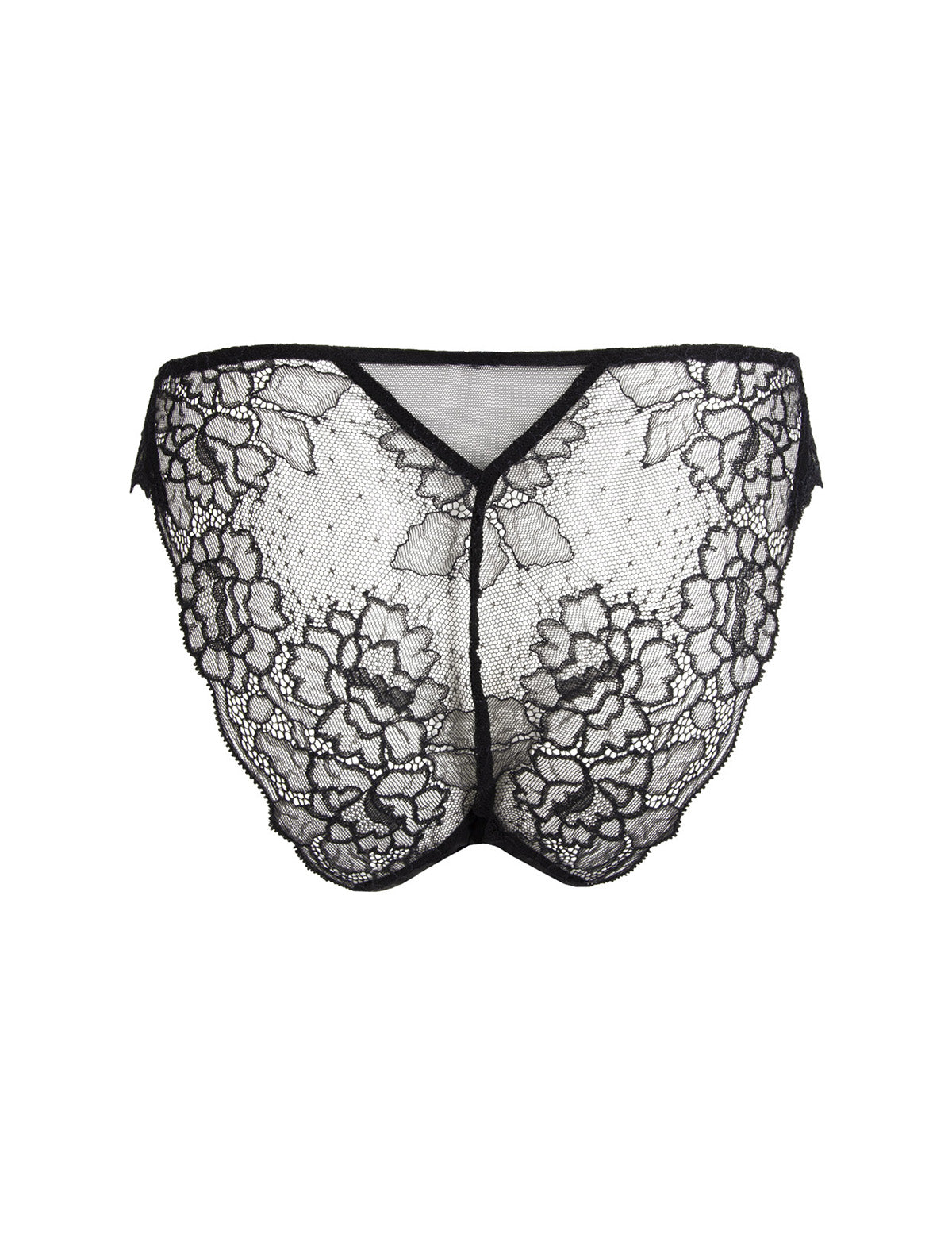 Lise Charmel Sublime En Dentelle İtalyan Külot